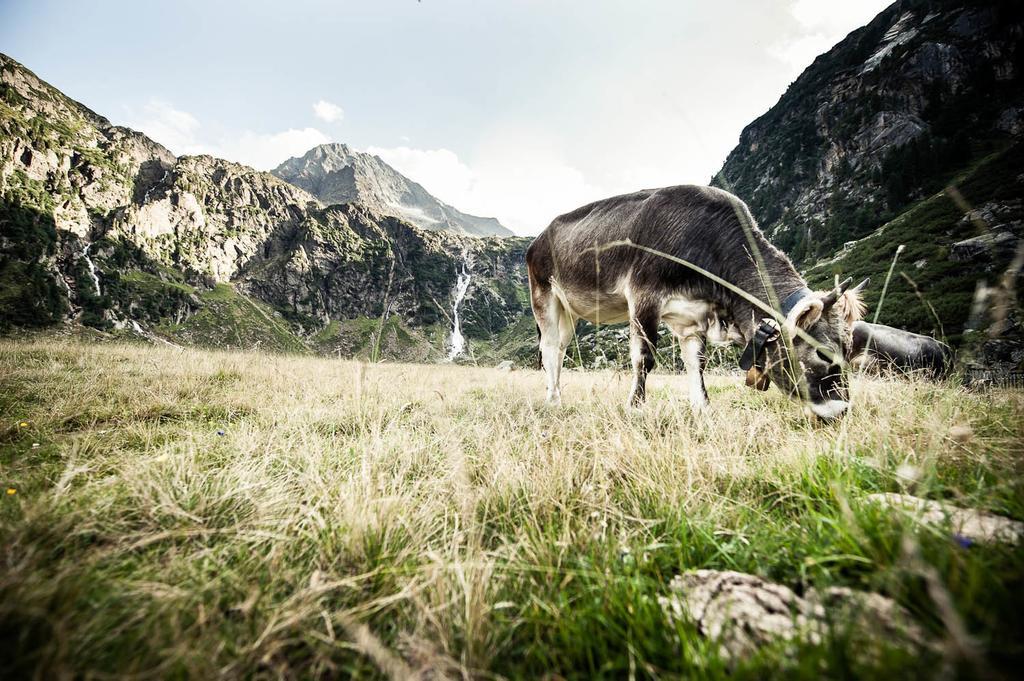 Alpenpension Pfurtscheller Neustift im Stubaital Buitenkant foto